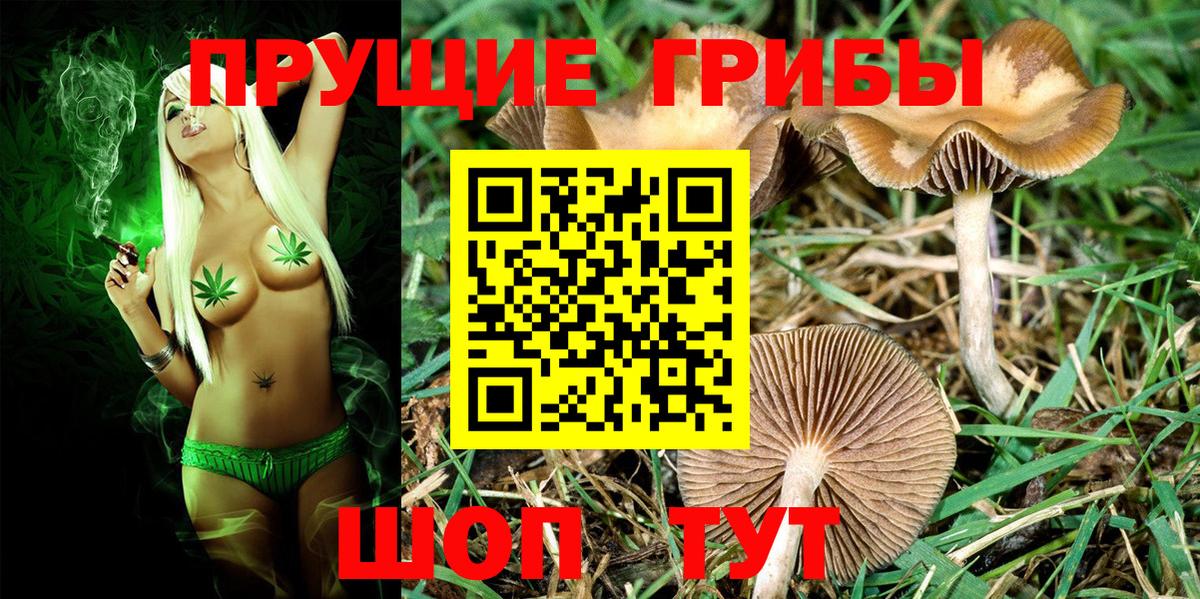 Галлюциногенные грибы мухоморы  Вход с VPN  цена   Улан-Удэ 